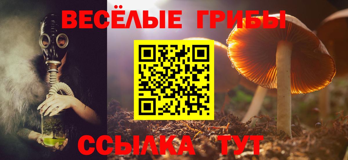 как найти закладки  Псилоцибиновые грибы Magic Shrooms  Вход с VPN  Киреевск  Псилоцибиновые грибы мухоморы 